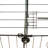 Debbey Weather Resistant Small Animal Cage
