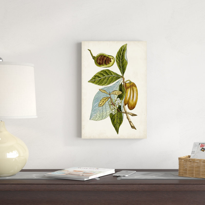 Étude botanique antique VI, H 18 po x l 12 po x P 1,25 po