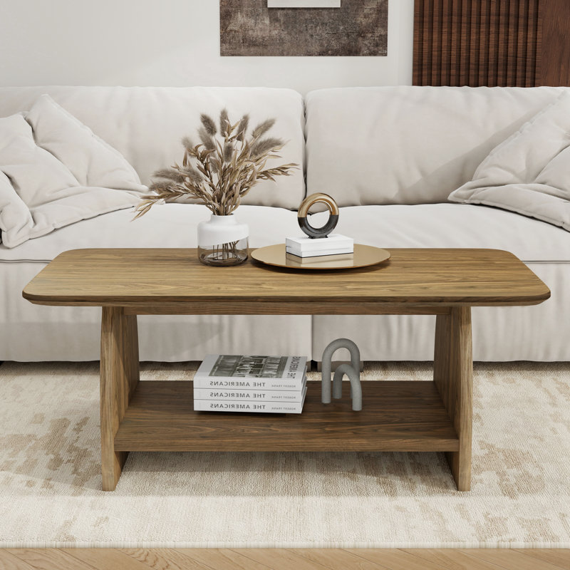 Table basse de salon moderne de 47 pouces, table basse rectangulaire double couche avec fonction de rangement, Bois
