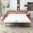 Saahith  Modern Faux Leather Sleeper Sofa with Memory Foam Mattress, Convertible Pull-Out Couch Bed-1824300011