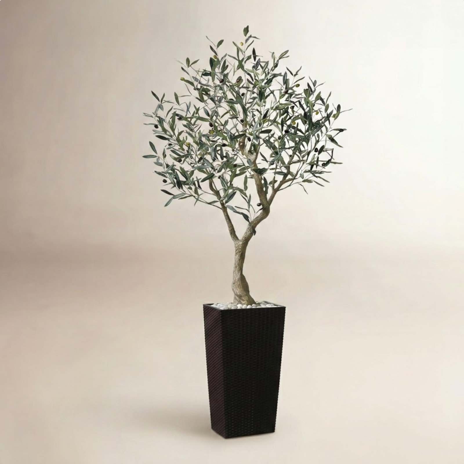 Adcock 84" Olive Tree in Decorative Vase, Brown, 72" H x 24" W x 24" D