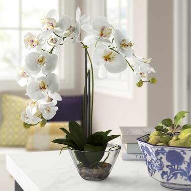 Orren Ellis Fern and Foliage Orchid Floral Arrangement in Vase ...