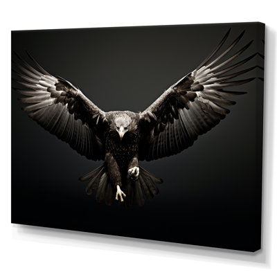 Bold Eagle Power Hunter II - Eagle Framed Prints