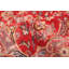 Tapis rouge Antalya 8 pi 11 po x 12 pi 5 po
