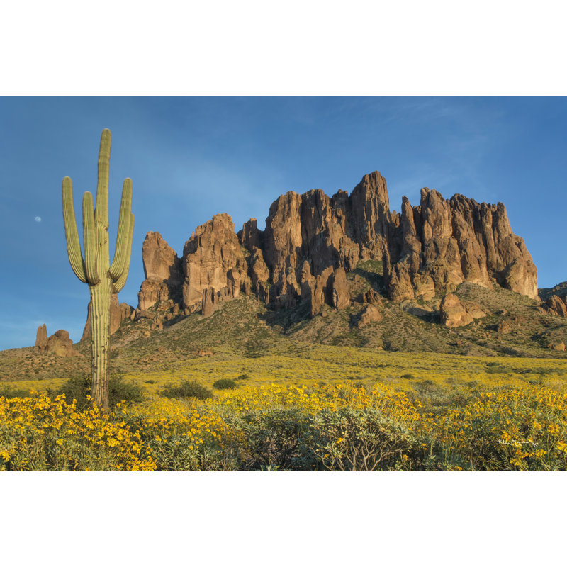«Keimy Superstition Mountains Saguaro» sur toile par Alan Majchrowicz, H 24 po x l 36 po