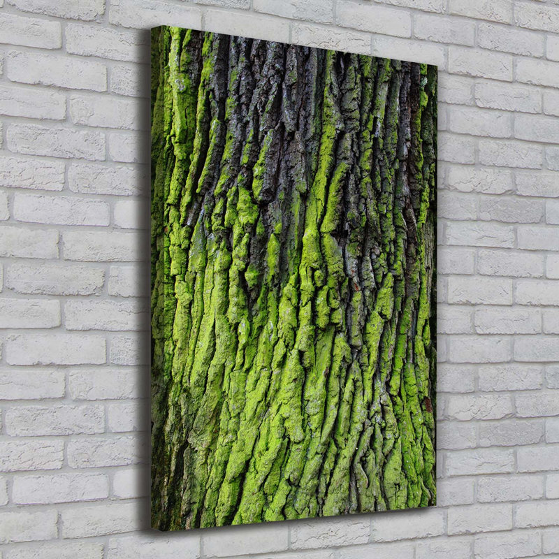 Tree Bark - Wrapped Canvas Print
