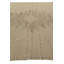 Tapis ivoire Judy