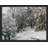 " Winter Snow Covered Birch Trees "-98299456-98299457