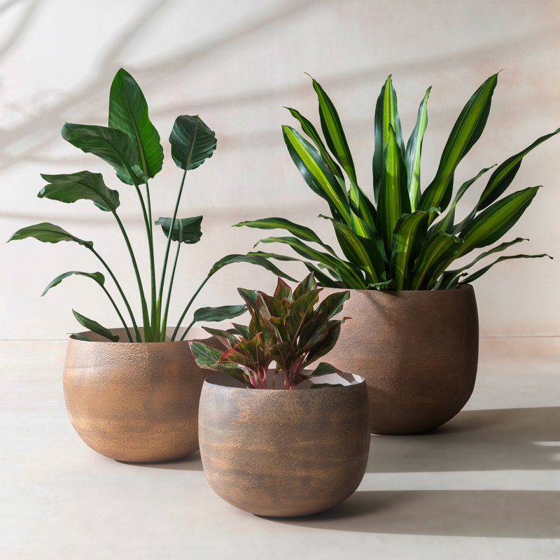Handmade Eden Round Indoor / Outdoor Metal Planter with drainage, Mousse, Set of 3 - Small/Medium/Large