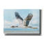  «In Flight 1» par Stellar Design Studio, art mural sur toile, 26 po x 18 po-22874883