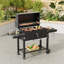 Charcoal Barbecues-1204724665