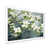 Cadre simple blanc