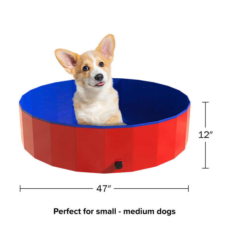 Piscine pour chien pliable PETxker 47 x 12 po, rouge, H 12 po x l 47 po x P 47 po, Rouge