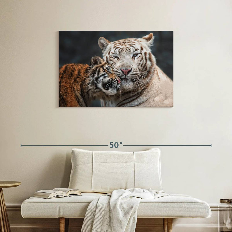 Tigre blanc et chaton Brampt, H 24 po x l 36 po