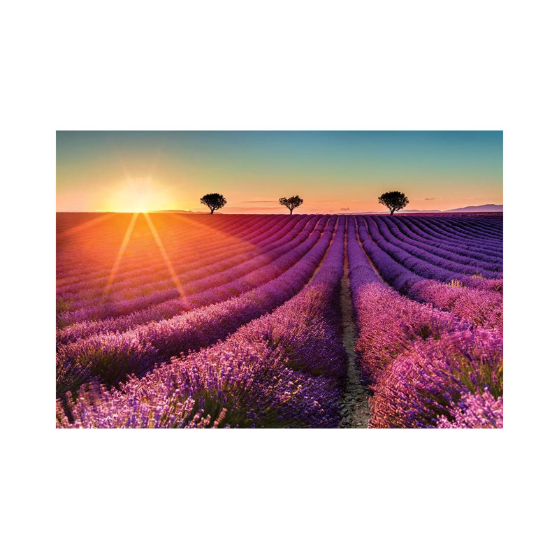 Plateau De Valensole Lavender Field Sunset II by Susanne Kremer - Gallery-Wrapped Canvas Giclée on Canvas, Canvas