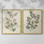 Pressed Arrangement III - Reproduction encadrée de qualité supérieure - prêt à être accroché - aucun clou requis - aucun clou requis-872068411-872068410