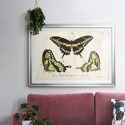 «Crackled Butterflies I», impression sur papier