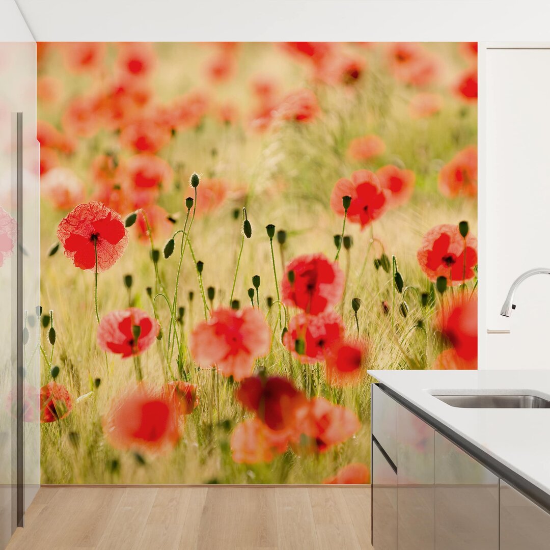 Matte Tapete Summer Poppies 1,92 m x 192 cm