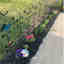 Photos des clients 1 de 1