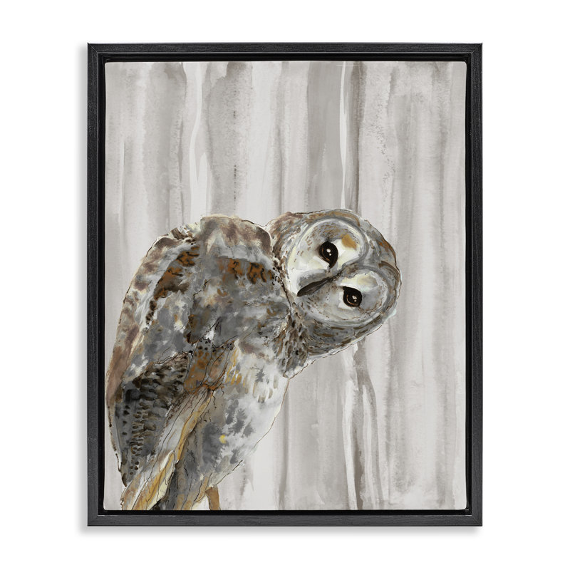 Cadre flottant Peeking Owl's Gaze, design par Patti Mann, Cadre flottant noir de jais, H 21 po x l 17 po