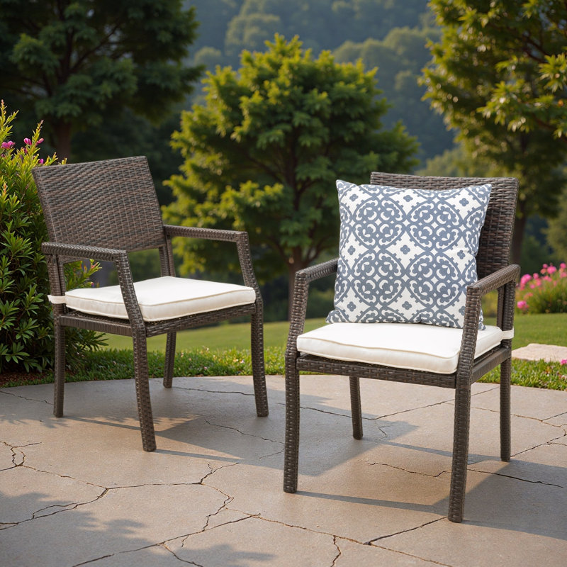 Chaise de salle à manger (ensemble de 2)