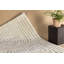 Cankton 200cm X 290cm Area Rug-2088823618