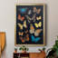 Collectionner Flutter IV encadré sur papier-952381094-952381090