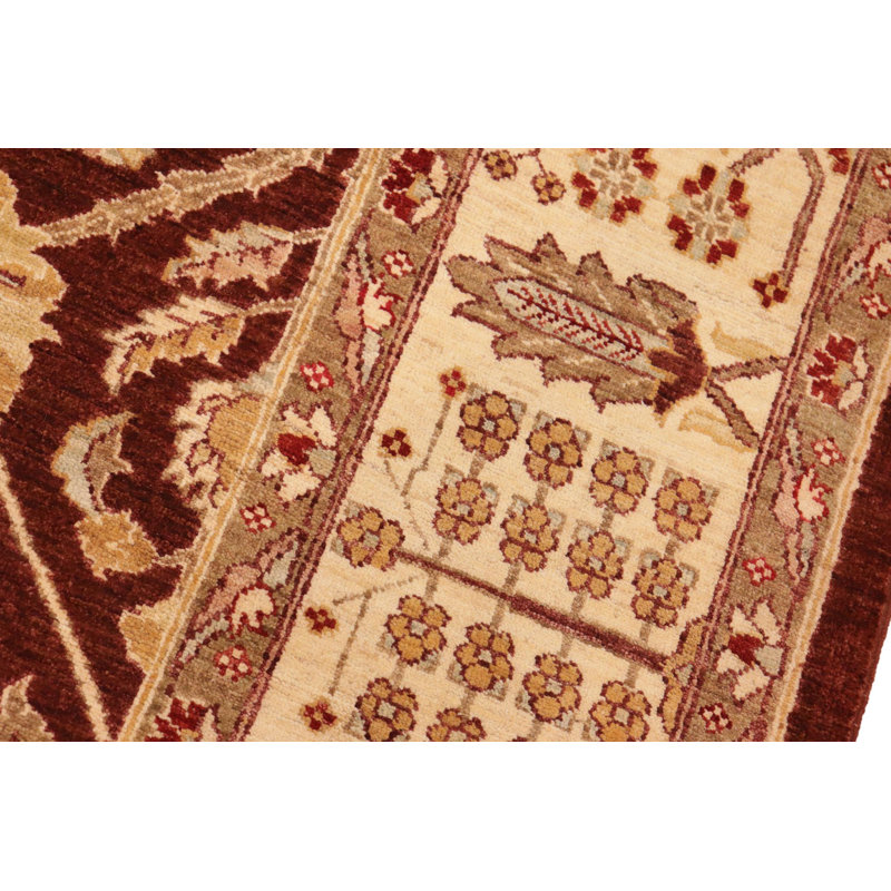 Baccio Wool Oriental Indoor Rug
