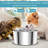 Anti-Skid Pet Fountain