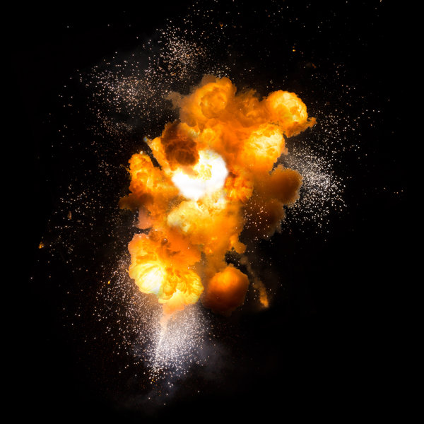 Ivy Bronx Fiery Explosion | Wayfair.co.uk