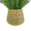 Outdoor UV-Rated Lavender in Basket Planter