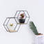 Luchia 2 Piece Hexagon Tiered Shelf