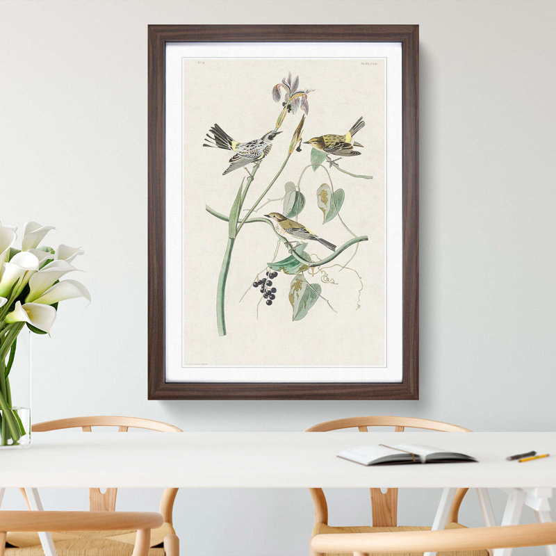 Yellow-Crown Warbler Birds by John James Audubon - Picture Frame Art Print, Walnut Framed, 65cm H x 48cm W x 2cm D