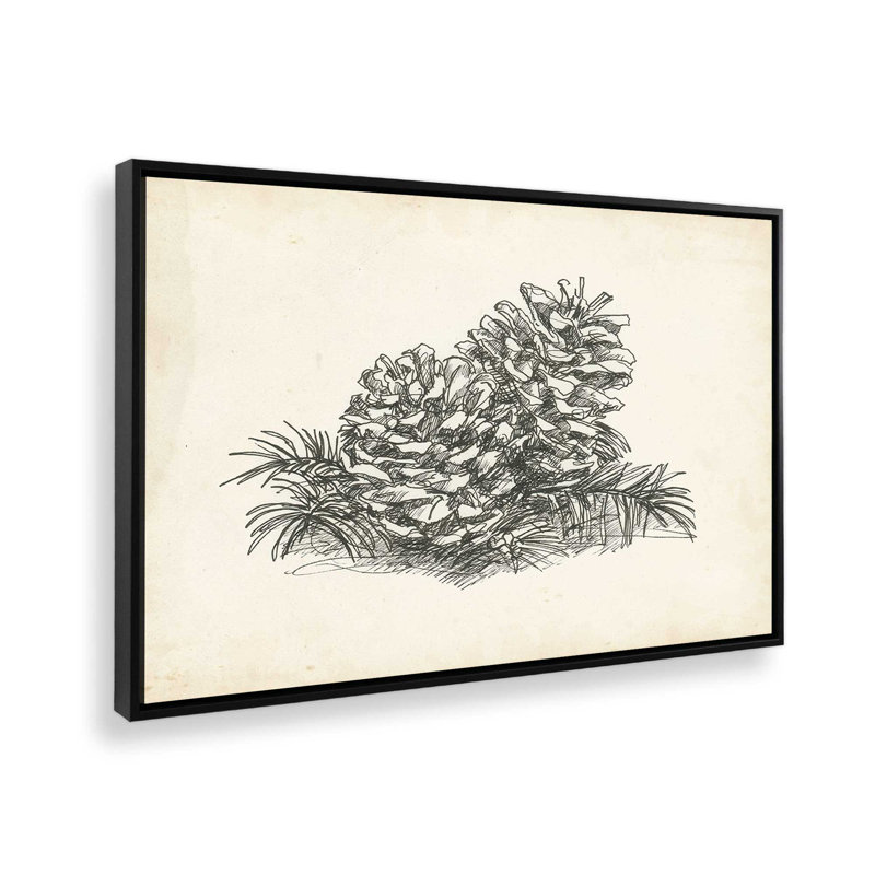 «Christmas Conifers I» par Ethan Harper, reproduction d'art sur toile, H 20 po x l 30 po, Noir