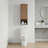 12 Inch  Wall-Mounted Cabinet