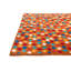 Nunez Orange Rug
