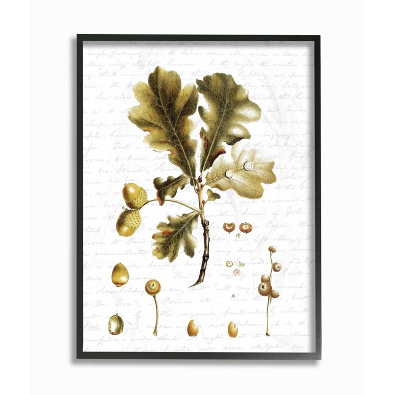 « tree leaves seed style saisons automne », impression, H 11 po x l 14 po, Giclée encadrée noir minuit