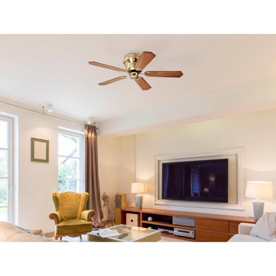 Ventilateur de plafond standard à 5 pales de 42 po avec chaînette et ensemble d'éclairage inclus Rosenblatt