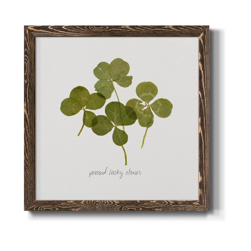 Toile encadrée Pressed Clover I-Premium - prête à être accrochée, H 17 po x l 17 po x P 1,5 po, Cadre noyer