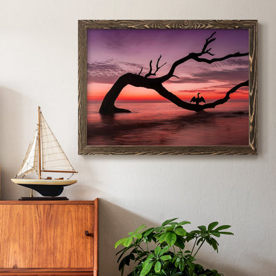 " Photography Study Sunset Beach "