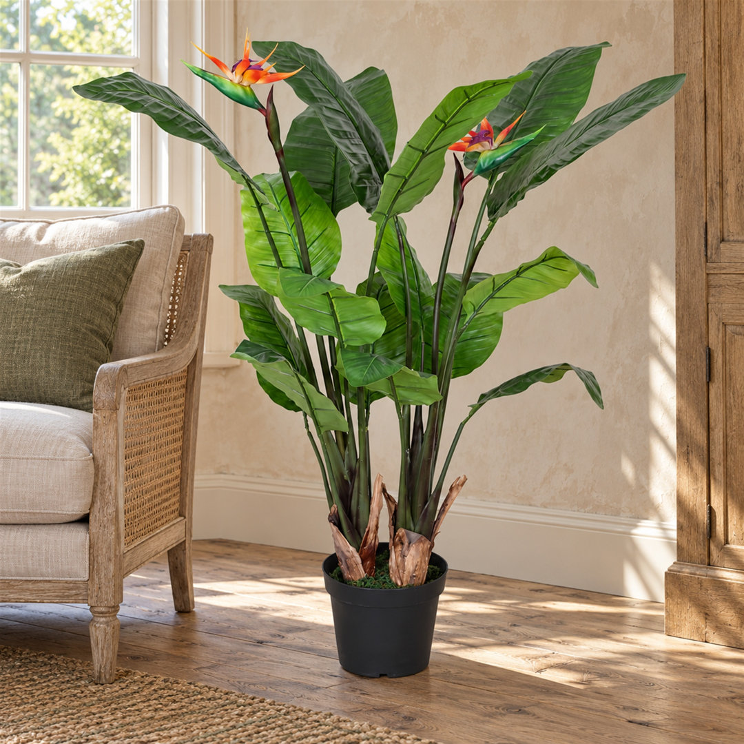 Wayfair UK