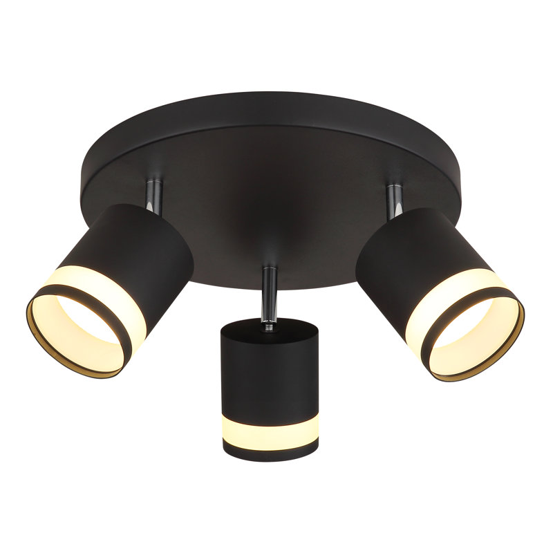 Scarla Spotlight