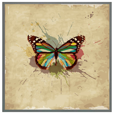 Townsey Butterfly & Paint Splats - Single Picture Frame Print