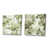 Toile tendue