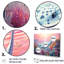 Ensemble d'art mural sur toile Manta Rays Drifters Landscape II - Coastal Coral Under Water-107734758