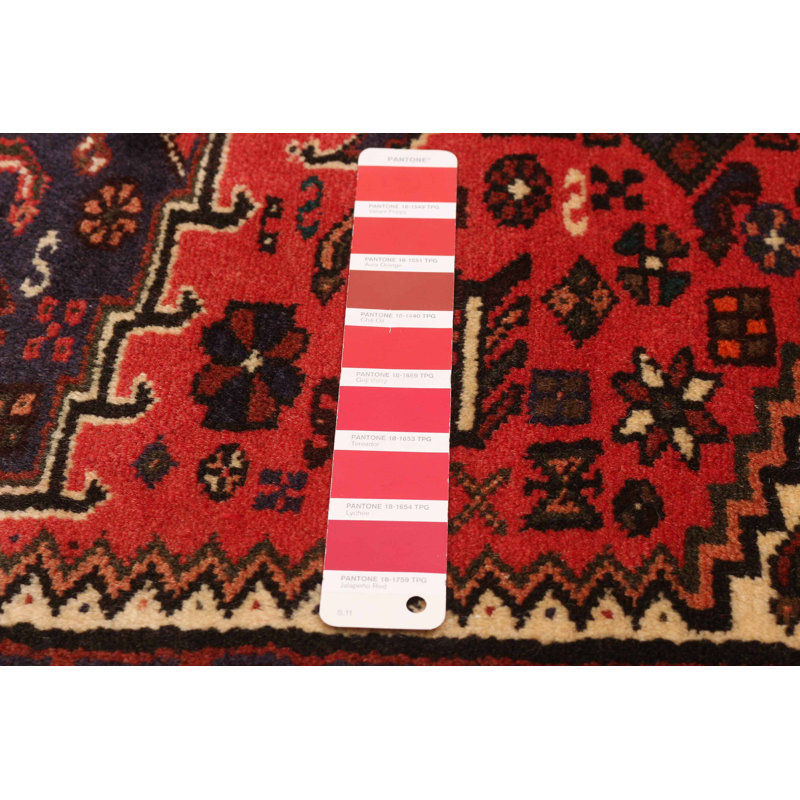 Anzaldua Red Rug 3'3" x 4'9"