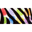 Rainbow Zebra II V2 by Irena Orlov - Wrapped Canvas Print-1551704165