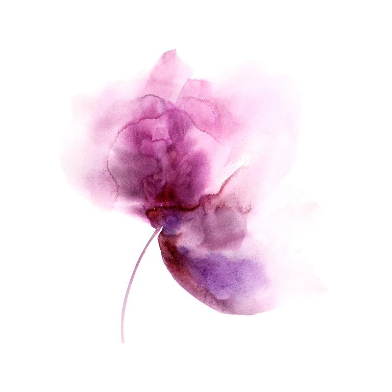 Watercolour Flower - Wrapped Canvas Painting, 30cm H x 30cm W x 3.8cm D