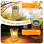 Solar Hanging Lanterns Outdoor, Set of 2 Rattan Solar Garden Lights, High Brightness with Auto On/Off, Waterproof Decorative Garden Ornaments for Patio & Yard, Ideal Gifts for Mum [Energy Class A+++]