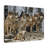 " Wolf "-1070266613